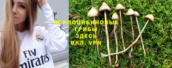 кокс Майский