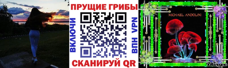 Псилоцибиновые грибы прущие грибы  Купить закладки  Самара 